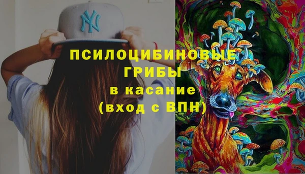трава Беломорск