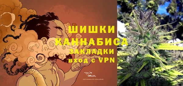 трава Беломорск
