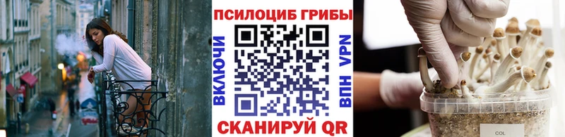 Купить  Бутурлиновка  Псилоцибиновые грибы Psilocybine cubensis 